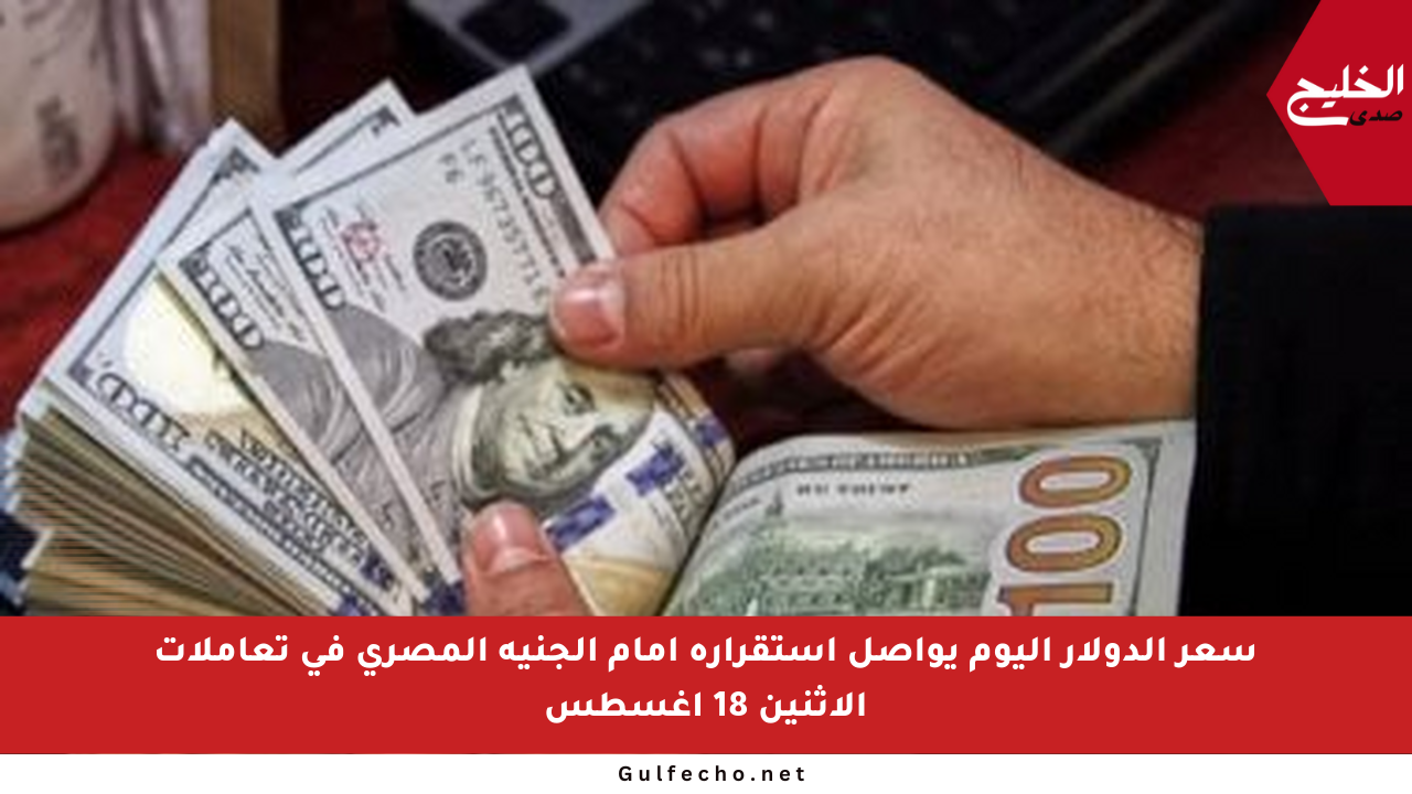 سعر الدولار اليوم يواصل استقراره أمام الجنيه المصري في تعاملات الإثنين 18 أغسطس